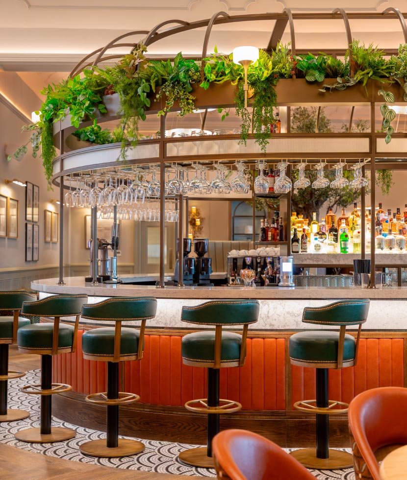 Hoteles, Bares, Cafeterías y Restaurantes